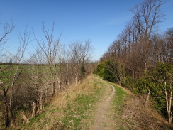 P2012DSC09311	Following the Devil's Dyke towards Stetchworth.