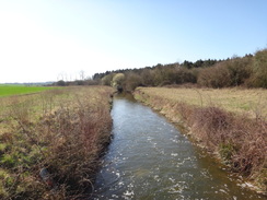 P2012DSC09335	Following the stream south towards the River Stour.