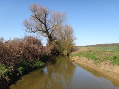 P2012DSC09341	The River Stour at Great Bradley.