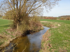 P2012DSC09347	The River Stour to the east of Great Bradley.