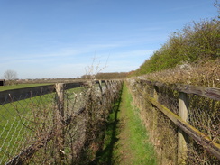 P2012DSC09376	Following the Icknield Way north-northeastwards from Gipsy Hall.