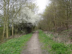 P2012DSC09566	Following the path northeastwards towards Clifton.