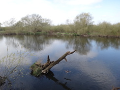 P2012DSC09586	The Trent at Clifton.