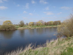 P2012DSC09598	The Trent near Clifton.