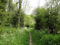 P2012DSC00039	The path leading to Great Thurlow.