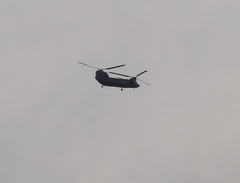 P2012DSC00041	A Chinook flying overhead.