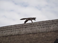 P2012DSC00072	A thatched fox.