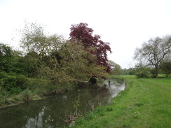 P2012DSC00109	The Stour near Stoke-by-Clare.