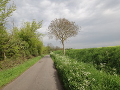 P2012DSC09949	Following the road up towards Boyton End.