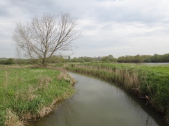 P2012DSC09956	The Stour near Water Hall Farm.