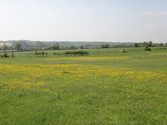 P2012DSC00181	Following the trail east from Cavendish towards Glemsford.