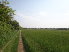 P2012DSC00184	Following the trail east from Cavendish towards Glemsford.