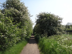 P2012DSC00253	Following the old railway line south towards Sudbury.