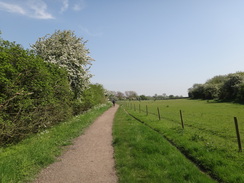 P2012DSC00257	Following the old railway line south towards Sudbury.