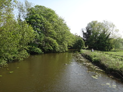 P2012DSC00266	The Stour to the west of Sudbury.