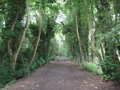 P2012DSC00602	Following the old railway line towards Ballingdon.