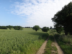 P2012DSC00608	Following the Stour Valley Path south from Ballingdon.