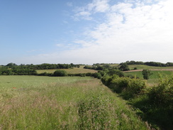 P2012DSC00612	Following the Stour Valley Path south from Ballingdon.