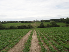 P2012DSC00750	The path between West Bergholt and Horkesley Heath.