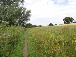 P2012DSC00803	Following the trail northwestwards towards Somerleyton.