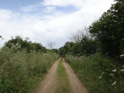 P2012DSC00817	Following the trail northwestwards towards Somerleyton.