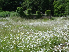 P2012DSC00822	Ruins of the old brickfields in Somerleyton.