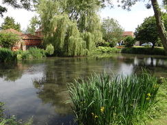 P2012DSC00824	A pond in Somerleyton.