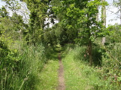 P2012DSC00856	Following the path north into Fritton.