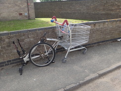 P2012DSC00924	A shopping trolley in Cobholm.