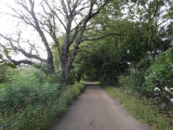 P2012DSC01322	Following the path upstream from Chiswick Bridge.