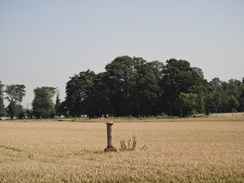 P2012DSC01450	A strange column in a field in Impington.