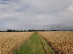 P2012DSC01534	Heading east towards Bradfield.