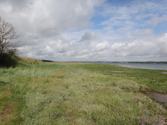 P2012DSC01554	The foreshore near Ragmarsh Farm.