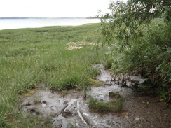 P2012DSC01558	The foreshore near Ragmarsh Farm.