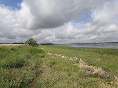 P2012DSC01560	The foreshore near Ragmarsh Farm.