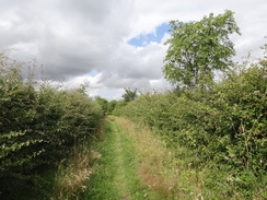 P2012DSC01574	The path leading east into Wrabness.