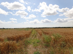 P2012DSC01608	The path heading away from Seagar's Farm.