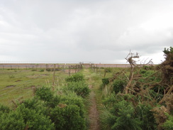 P2012DSC01842	The path leading east from Reydon to the coast.