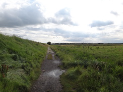 P2012DSC01862	The path heading southwest towards the Blyth.