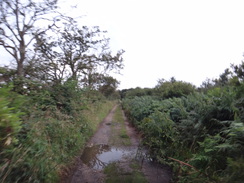 P2012DSC01916	The track leading to Dunwich Forest.