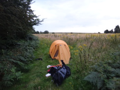 P2012DSC01919	My tent on Dingle Marshes.