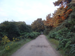 P2012DSC01932	Following the track south towards Dunwich.