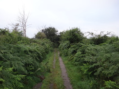 P2012DSC01958	The path across Dunwich Heath.