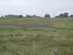 P2012DSC02036	Heathland beside the trail.