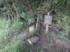 P2012DSC02123	A piglet barrier.