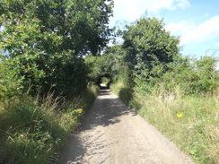 P2012DSC02135	Following the path southwestwards towards Chillesford.