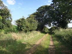 P2012DSC02145	Following a track south from Butley Mills.