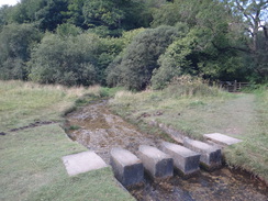 P2012DSC02577	Stepping stones over the stream in Nettle Dale.