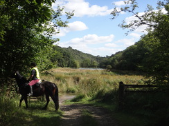 P2012DSC02578	A view down Nettle Dale.