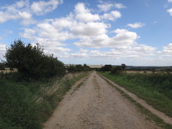 P2012DSC02584	The track leading to Cold Kirby.